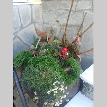Kastoria House#maniaki *